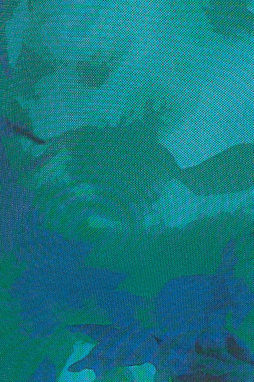 Sweet Spot Mesh Maxi Dress Green